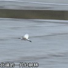 温州市南岙山村地图的长尾关键词有什么