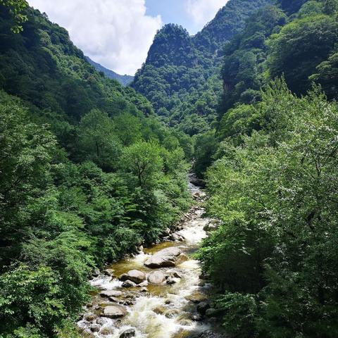 2025.11.22佛山今天空气质量指数怎么样
