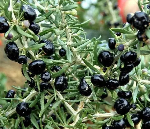 微头条批发哪里最火爆 微头条做什么最火爆