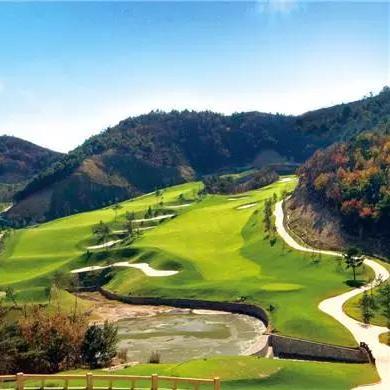 大连市的游泳馆哪个好些