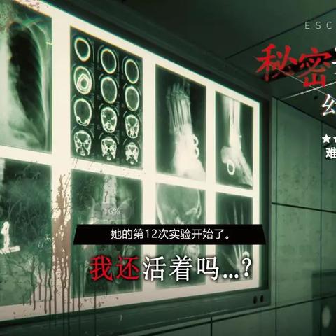 长沙密室相关长尾关键词有哪些