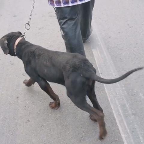 河南高考文科480的相关长尾关键词有哪些