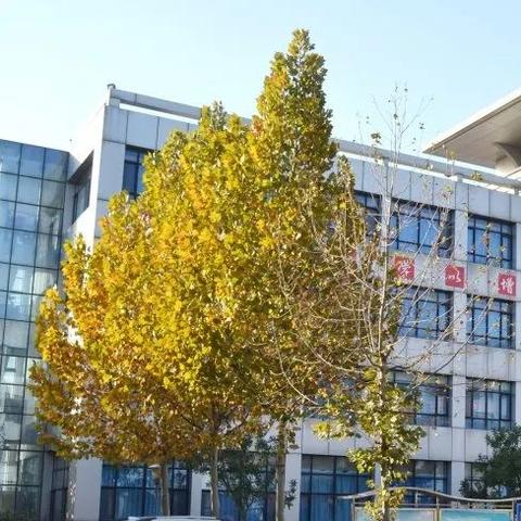 石家庄市有什么汽修学校