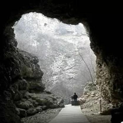 周口市哪里有卖中药柜