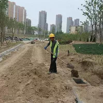 菏泽市北城学校的长尾关键词有哪些