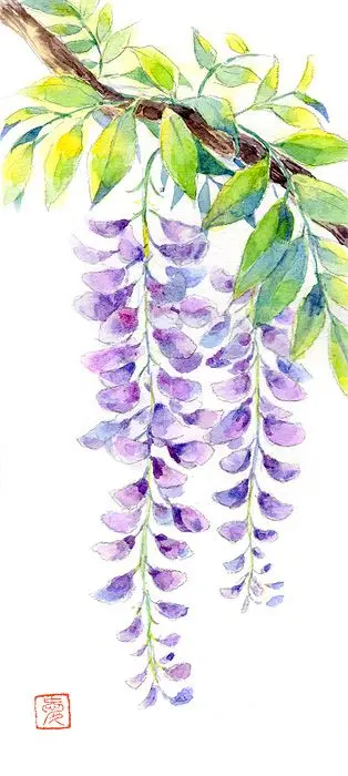 怎么海外网 海外网假吗