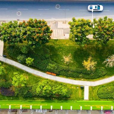 苏州市哪个乡镇人多些啊