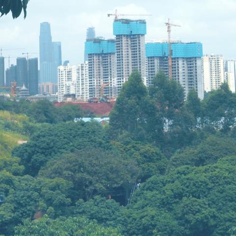 绿地南宁新楼盘的相关长尾关键词有哪些
