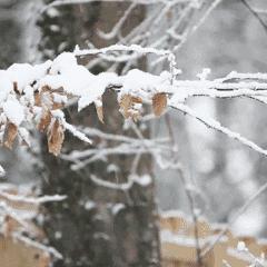 兰州市今天降雪吗天气怎么样