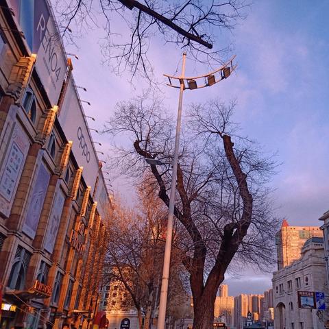 到哈尔滨市哪里好玩一点