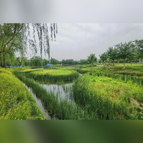 济南市龙湖湿地在哪里