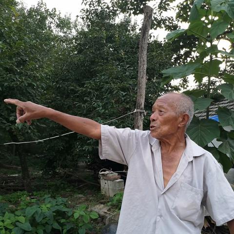 旧梦重温忆往昔
