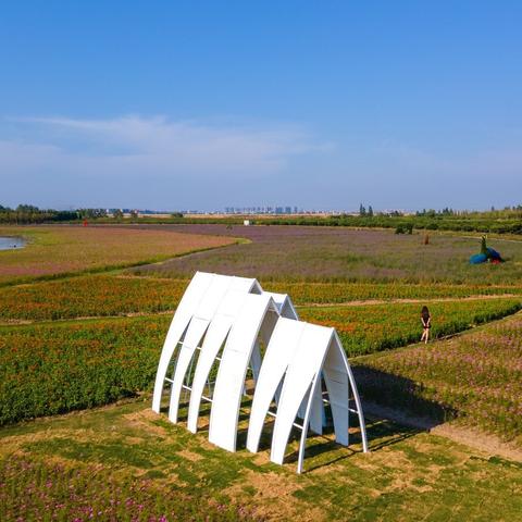 螃蟹合肥滨湖相关长尾关键词有哪些