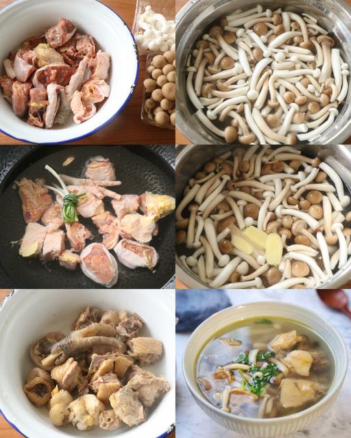 哪些菌菇类适合孩子吃