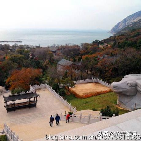 宁红叶的进阶之路——武器选择与战斗技巧全解析