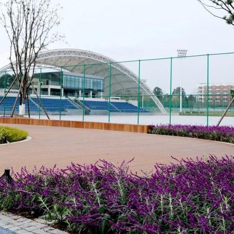 足球比赛小品精彩集锦的长尾关键词有哪些