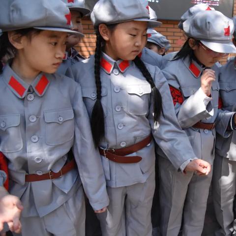 石家庄市金马小学哪个区