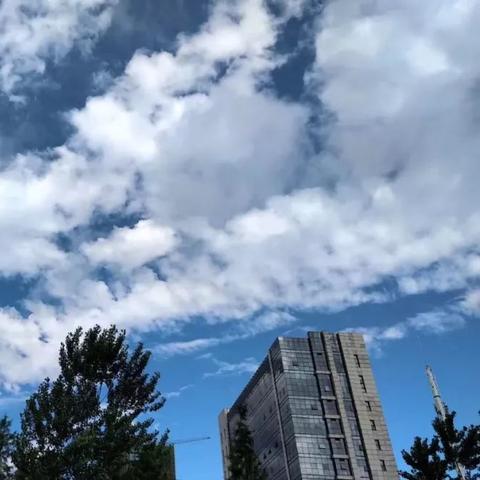【合肥未来7天天气预报】合肥未来一周天气情况