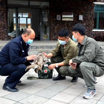 动物小笑话大全爆笑的长尾关键词有什么