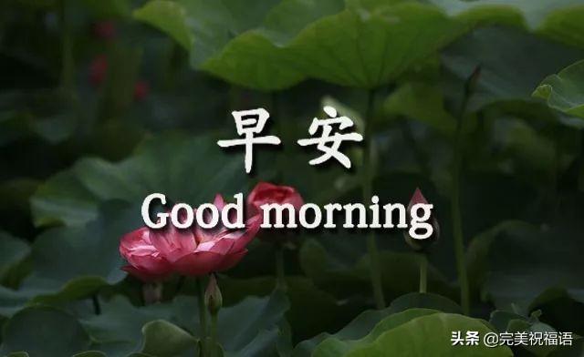 2020今日霜降早安祝福语
