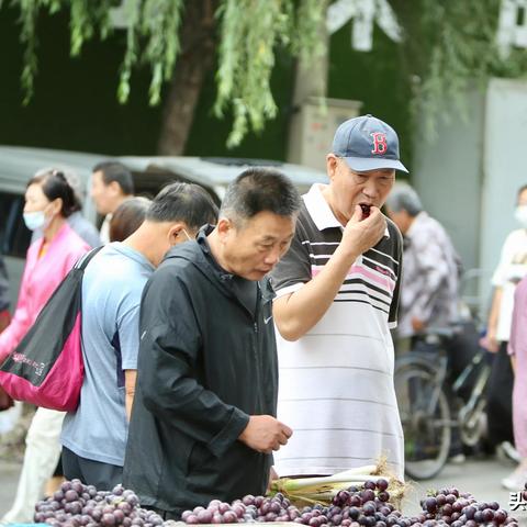 沈阳市哪个地方有早市啊