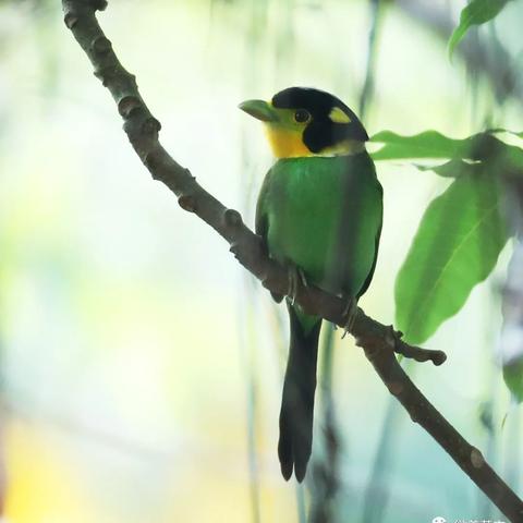 济南万帮之星工作相关长尾关键词有哪些