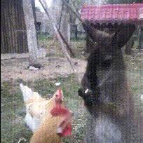 哪里的温泉最好兰州市