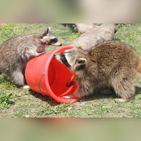 南通市保育员证怎么考取