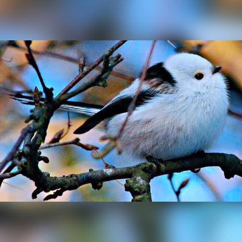 广州南施工相关长尾关键词有哪些