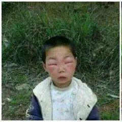 生肖蛇九月爱情运势分析(生肖蛇九月运势如何)