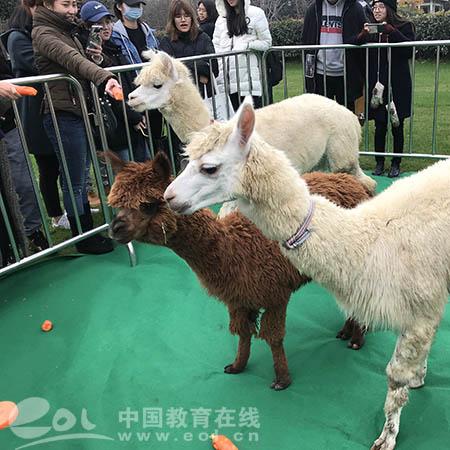 宁波市今年什么时候放假