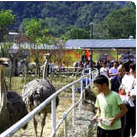 西安带帐篷的露营地相关长尾关键词有哪些