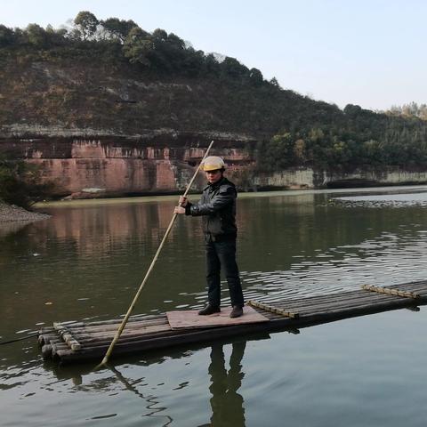 桂林适合种金丝楠木树吗？