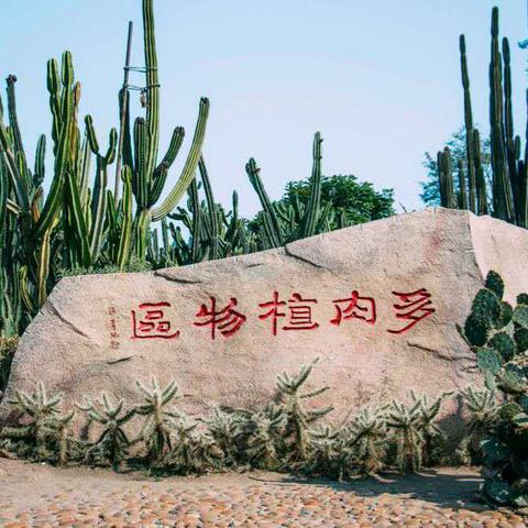 雨林植物园厦门的相关长尾关键词有哪些