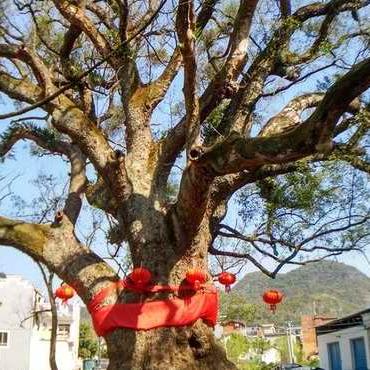 济南历城区人口有多少？