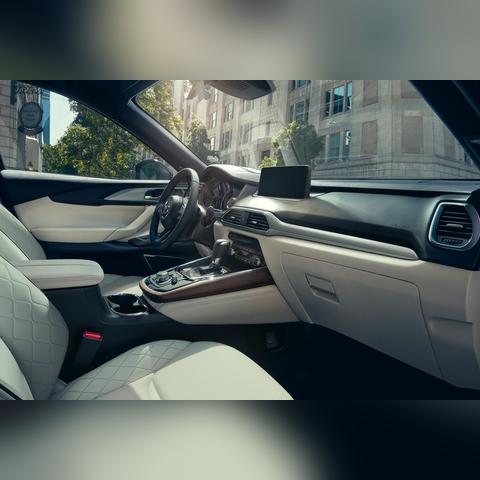 九月三号生肖运势(2021年9月3日特吉生肖运势)