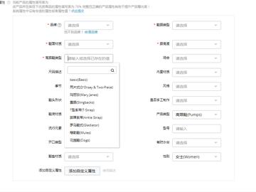 跨境电商平台发布产品操作的相关长尾关键词是那些