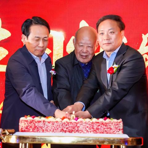 保定市王盘属于哪里