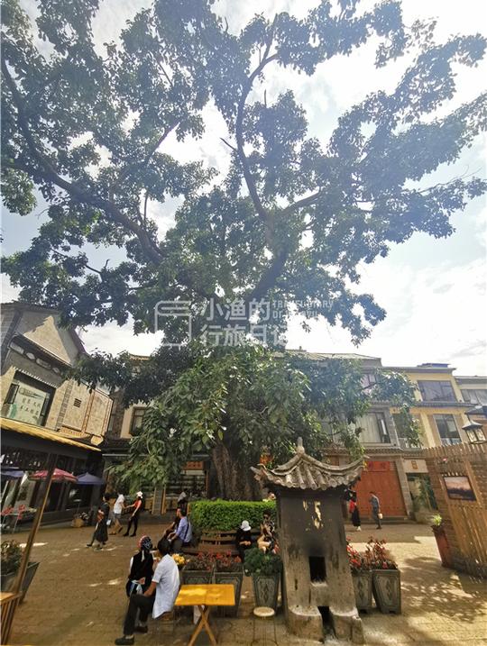 中国最接地气的寺庙，殿内拜佛殿外打麻将，游客不多香火旺盛