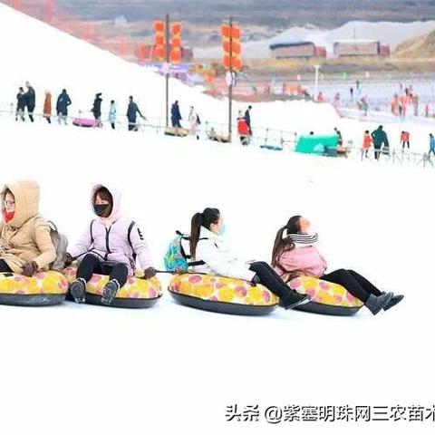 保定市住宿带院子的长尾关键词有什么