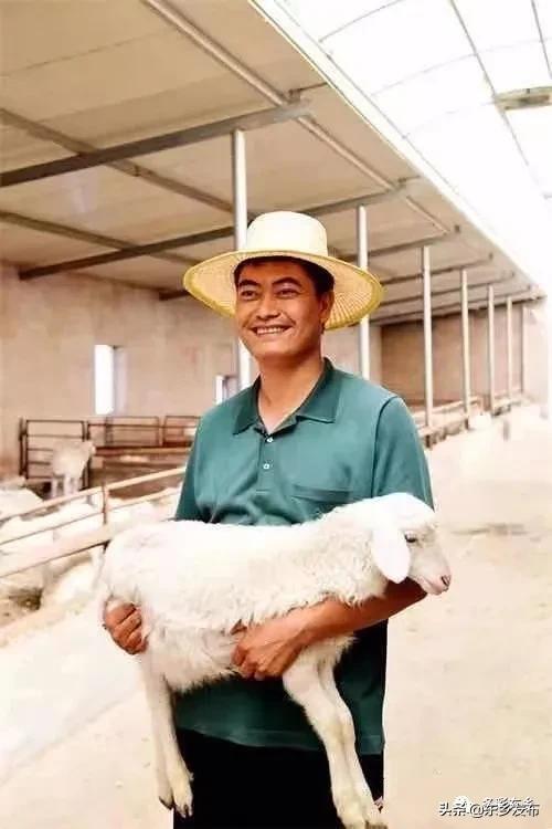 梦见自己放羊什么意思