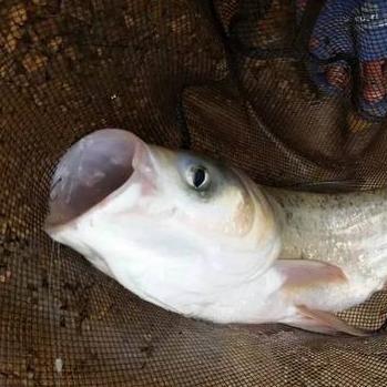 看天气预报的软件的长尾关键词有什么