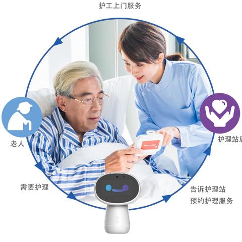 武汉市泰迪犬什么价位