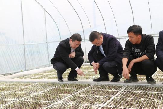 姜世甫到高坪街道调研坝区建设