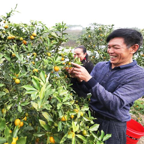 桂林市哪个地方水果便宜
