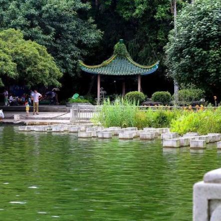 南宁市的人民公园怎么了