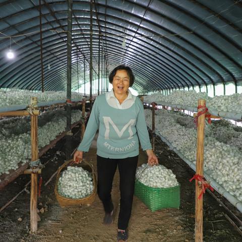 河南的商城怎么样