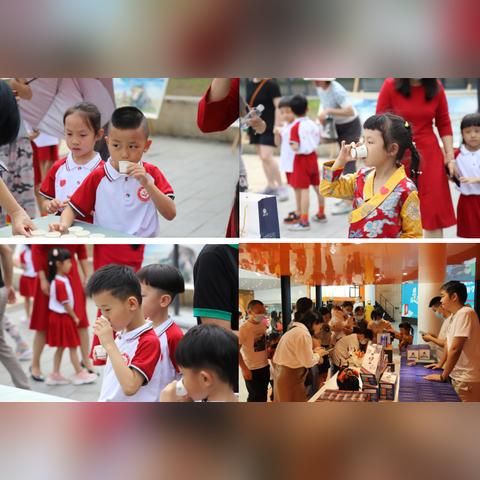 成都市杀牦牛厂家在哪里