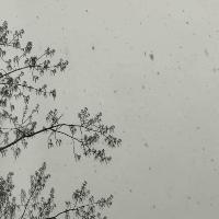 昌乐近40年最低气温的长尾关键词有哪些