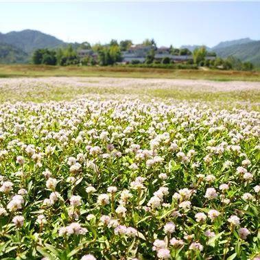 桂林湖相关长尾关键词有哪些